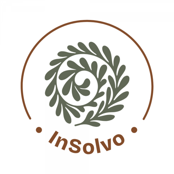 InSolvo: Twój osobisty przewodnik po życiu i pracy w Holandii