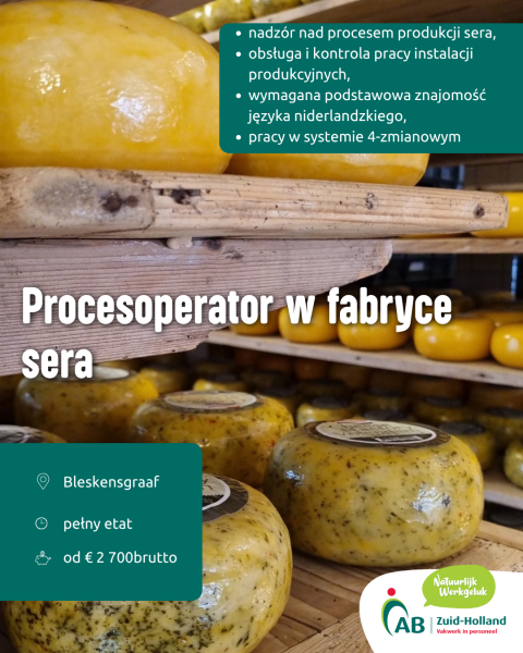 Procesoperator w fabryce sera -  Bleskensgraaf