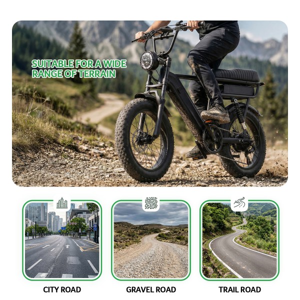 Fatbike Y20 Pro Max