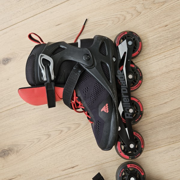 Rolki