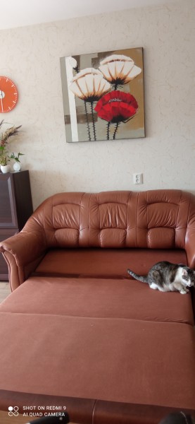 sofa ze skóry rozkladana