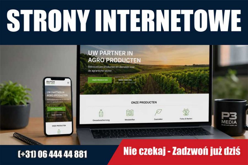 Strony internetowe, Poczta e-mail, Domeny, Hosting