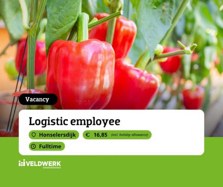 Pracownik Logistyki - Honselersdijk - stawka €15,56/godz.
