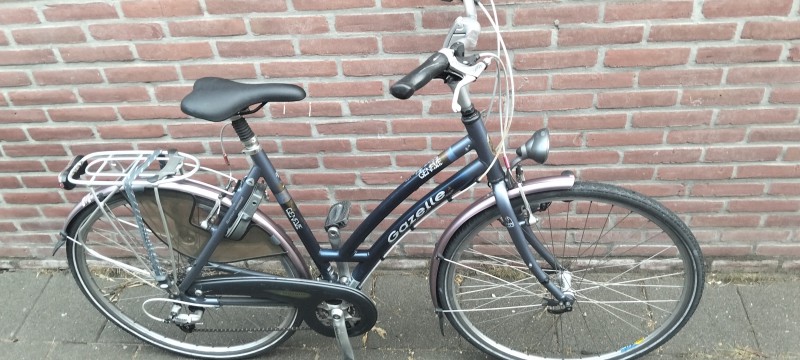 Rower Gazelle