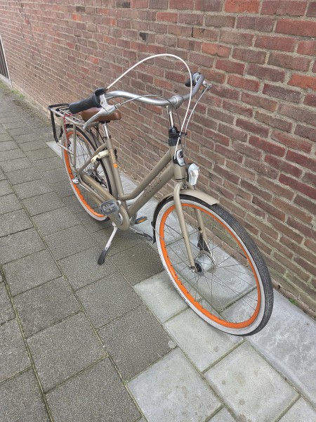 Gazelle