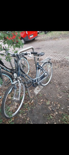 Batavus 7bieg
